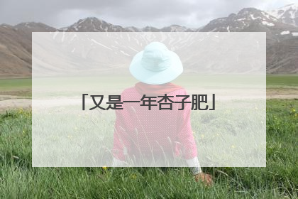 又是一年杏子肥