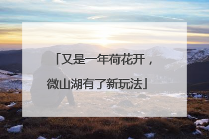 又是一年荷花开，微山湖有了新玩法