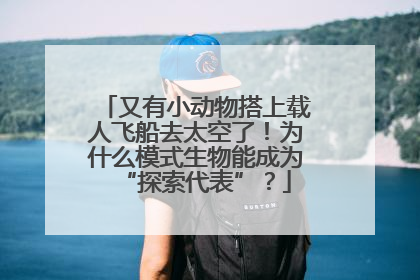 又有小动物搭上载人飞船去太空了！为什么模式生物能成为“探索代表”？