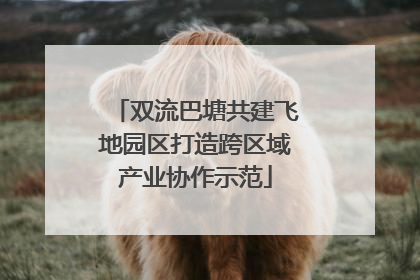 双流巴塘共建飞地园区打造跨区域产业协作示范