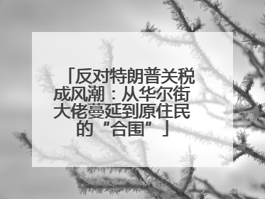 反对特朗普关税成风潮：从华尔街大佬蔓延到原住民的“合围”