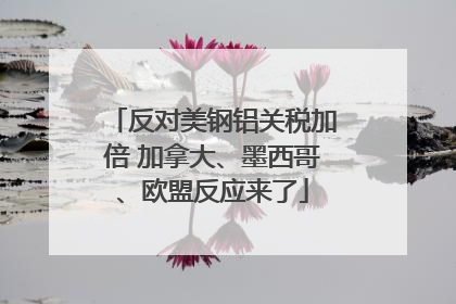 反对美钢铝关税加倍 加拿大、墨西哥、欧盟反应来了