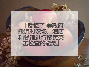 反悔了 美政府撤销对农场、酒店和餐馆进行移民突击检查的豁免