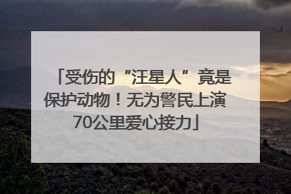 受伤的“汪星人”竟是保护动物！无为警民上演70公里爱心接力