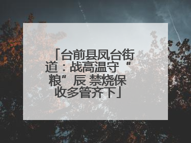 台前县凤台街道：战高温守“粮”辰 禁烧保收多管齐下