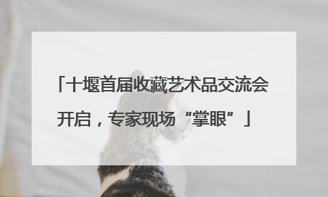 十堰首届收藏艺术品交流会开启，专家现场“掌眼”