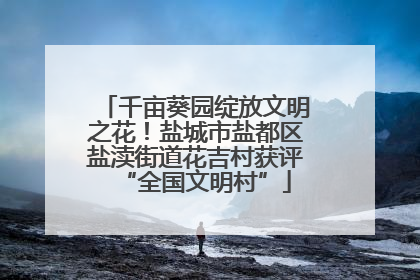 千亩葵园绽放文明之花！盐城市盐都区盐渎街道花吉村获评“全国文明村”