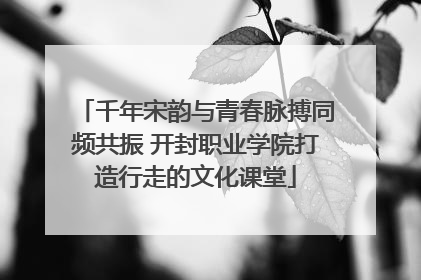 千年宋韵与青春脉搏同频共振 开封职业学院打造行走的文化课堂