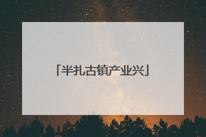 半扎古镇产业兴