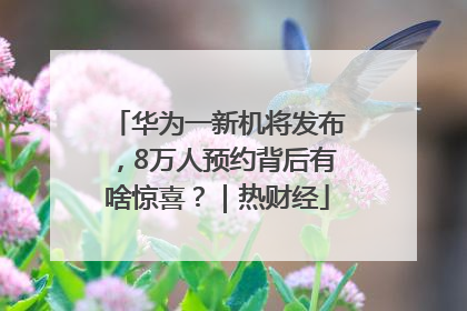 华为一新机将发布，8万人预约背后有啥惊喜？｜热财经