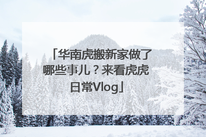 华南虎搬新家做了哪些事儿？来看虎虎日常Vlog