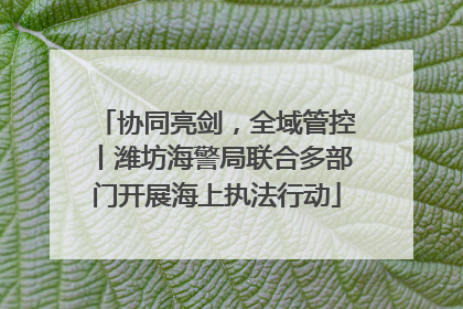 协同亮剑，全域管控丨潍坊海警局联合多部门开展海上执法行动