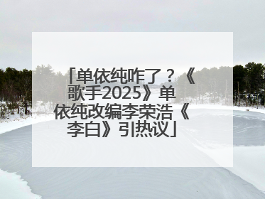 单依纯咋了？《歌手2025》单依纯改编李荣浩《李白》引热议