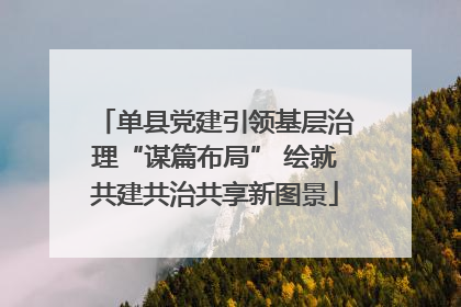 单县党建引领基层治理“谋篇布局” 绘就共建共治共享新图景