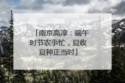 南京高淳：端午时节农事忙，夏收夏种正当时