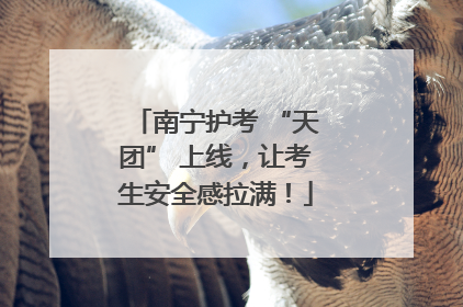南宁护考 “天团” 上线，让考生安全感拉满！