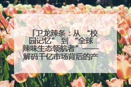 卫龙辣条：从 “校园记忆” 到 “全球辣味生态领航者”——解码千亿市场背后的产品创新与全链路破圈