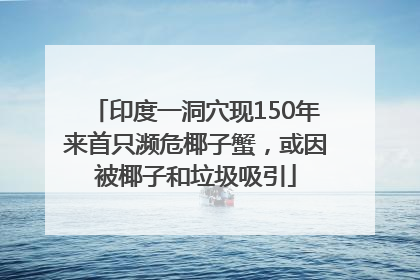 印度一洞穴现150年来首只濒危椰子蟹，或因被椰子和垃圾吸引