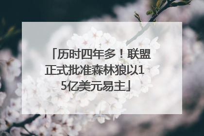 历时四年多！联盟正式批准森林狼以15亿美元易主