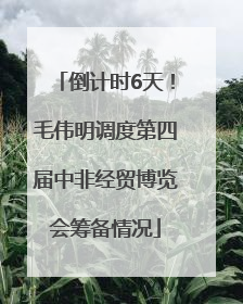 倒计时6天！毛伟明调度第四届中非经贸博览会筹备情况