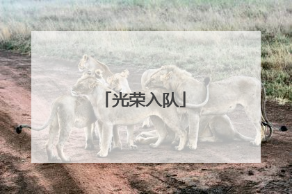 光荣入队
