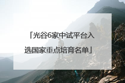 光谷6家中试平台入选国家重点培育名单