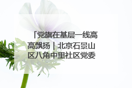 党旗在基层一线高高飘扬｜北京石景山区八角中里社区党委：用脚步丈量民生