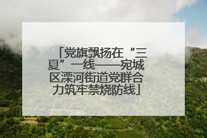 党旗飘扬在“三夏”一线——宛城区溧河街道党群合力筑牢禁烧防线
