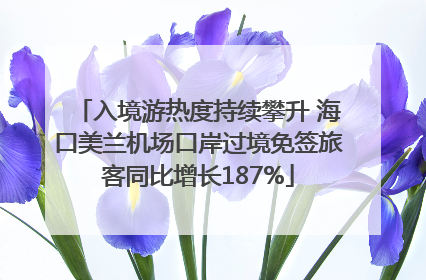 入境游热度持续攀升 海口美兰机场口岸过境免签旅客同比增长187%