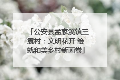 公安县孟家溪镇三袁村：文明花开 绘就和美乡村新画卷