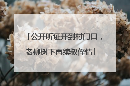 公开听证开到村门口，老柳树下再续叔侄情
