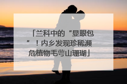 兰科中的“显眼包”！内乡发现珍稀濒危植物毛萼山珊瑚