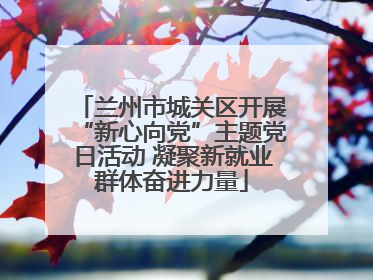 兰州市城关区开展“新心向党”主题党日活动 凝聚新就业群体奋进力量