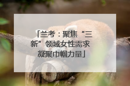 兰考：聚焦“三新”领域女性需求 凝聚巾帼力量