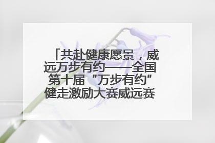 共赴健康愿景，威远万步有约——全国第十届“万步有约”健走激励大赛威远赛区启动仪式
