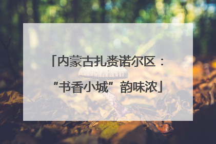内蒙古扎赉诺尔区：“书香小城”韵味浓