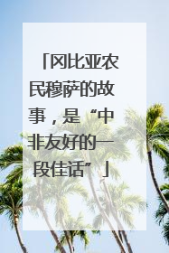 冈比亚农民穆萨的故事，是“中非友好的一段佳话”