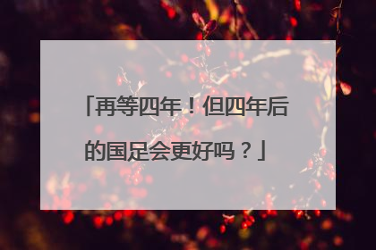 再等四年！但四年后的国足会更好吗？