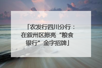 农发行四川分行：在叙州区擦亮“粮食银行”金字招牌