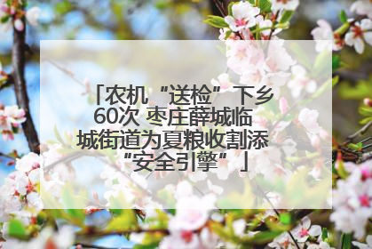 农机“送检”下乡60次 枣庄薛城临城街道为夏粮收割添“安全引擎”
