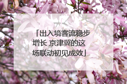 出入境客流稳步增长 京津冀的这场联动初见成效