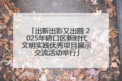 出新出彩又出圈 2025年硚口区新时代文明实践优秀项目展示交流活动举行