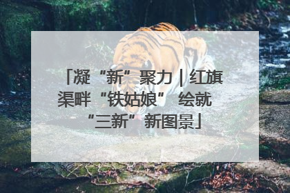 凝“新”聚力｜红旗渠畔“铁姑娘” 绘就“三新”新图景