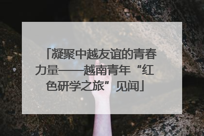 凝聚中越友谊的青春力量——越南青年“红色研学之旅”见闻