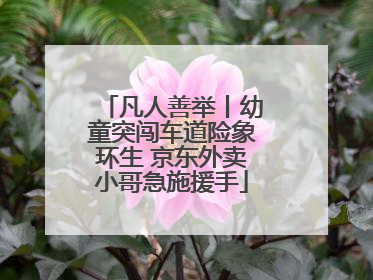 凡人善举丨幼童突闯车道险象环生 京东外卖小哥急施援手