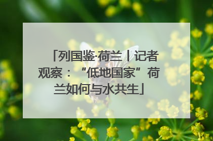 列国鉴·荷兰丨记者观察：“低地国家”荷兰如何与水共生
