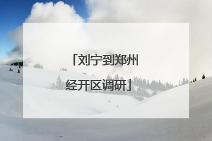 刘宁到郑州经开区调研