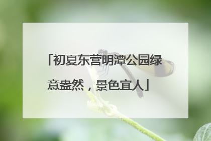 初夏东营明潭公园绿意盎然，景色宜人