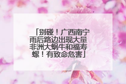 别碰！广西南宁雨后路边出现大量非洲大蜗牛和福寿螺！有致命危害