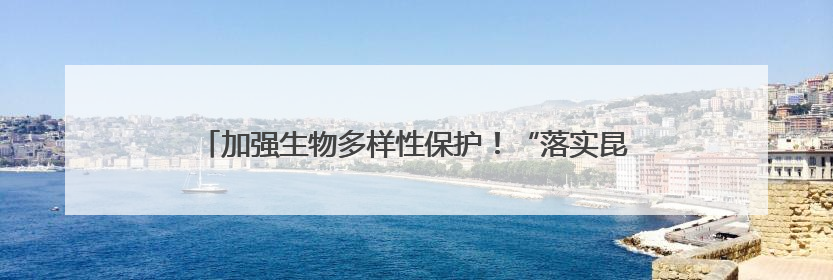 加强生物多样性保护！“落实昆蒙框架：海洋保护地建设和南极公海生态保护”主题论坛将举办